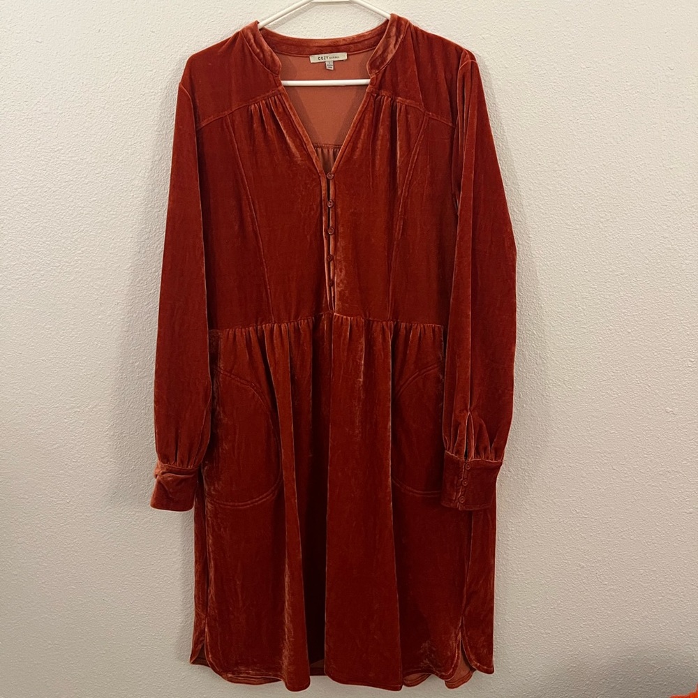 Velvety dress